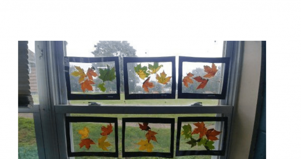 Leaf window prints