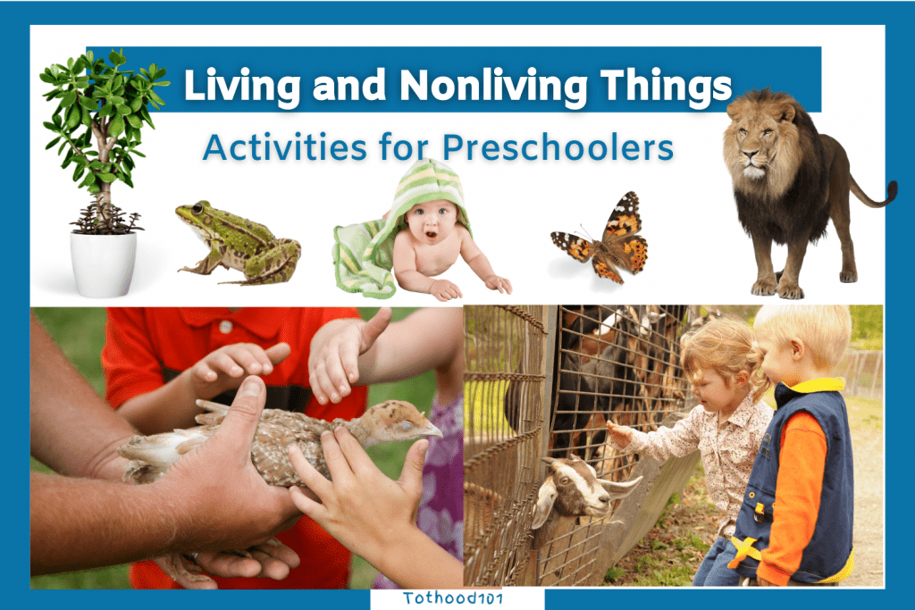 Living and nonliving things
