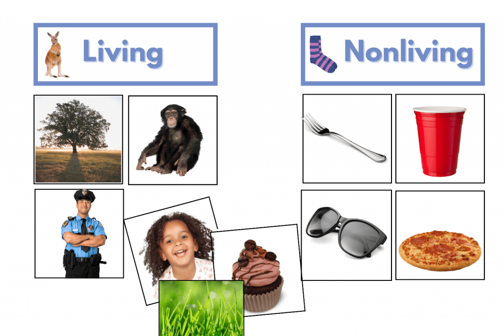 Living Nonliving Things Card Game 