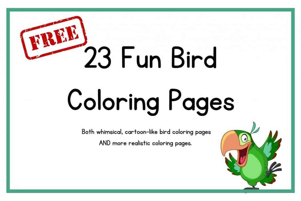 preschool bird coloring pages - link below.