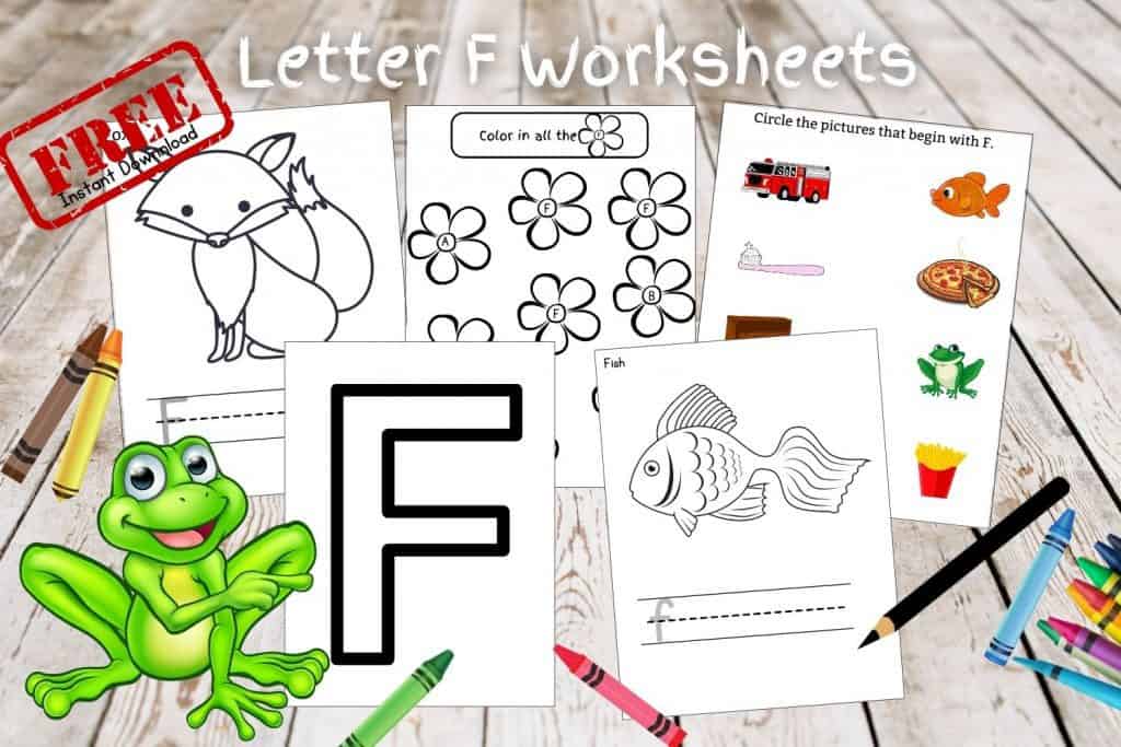 Letter F worksheets for preschoolers. Download link below.