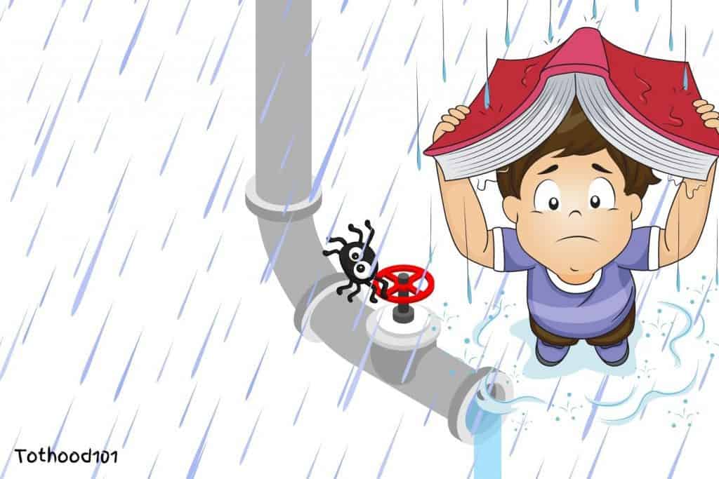 Boy with a book over his head in the rain watching a spider on a spout