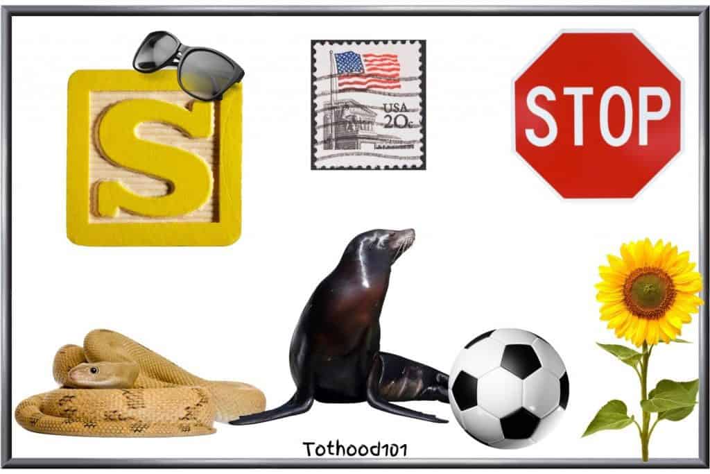 Things that start with Letter S for preschoolers - S on a block, stamp, stop sign, snake, seal, soccer ball, sunflower