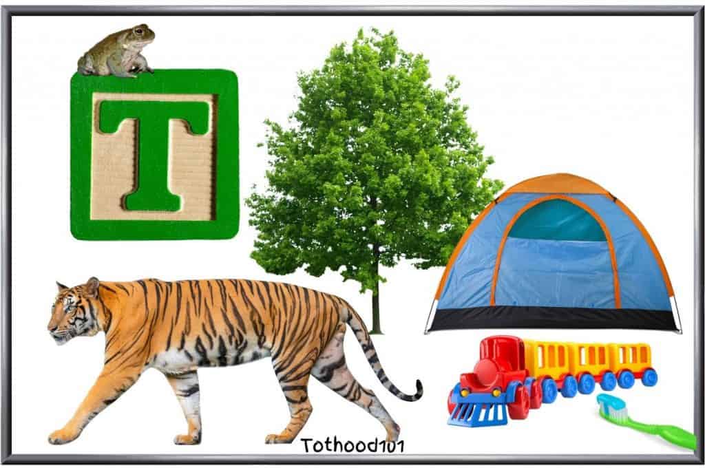 Things that start with Letter T for preschoolers