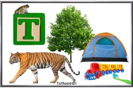 Things that start with the letter T for preschoolers