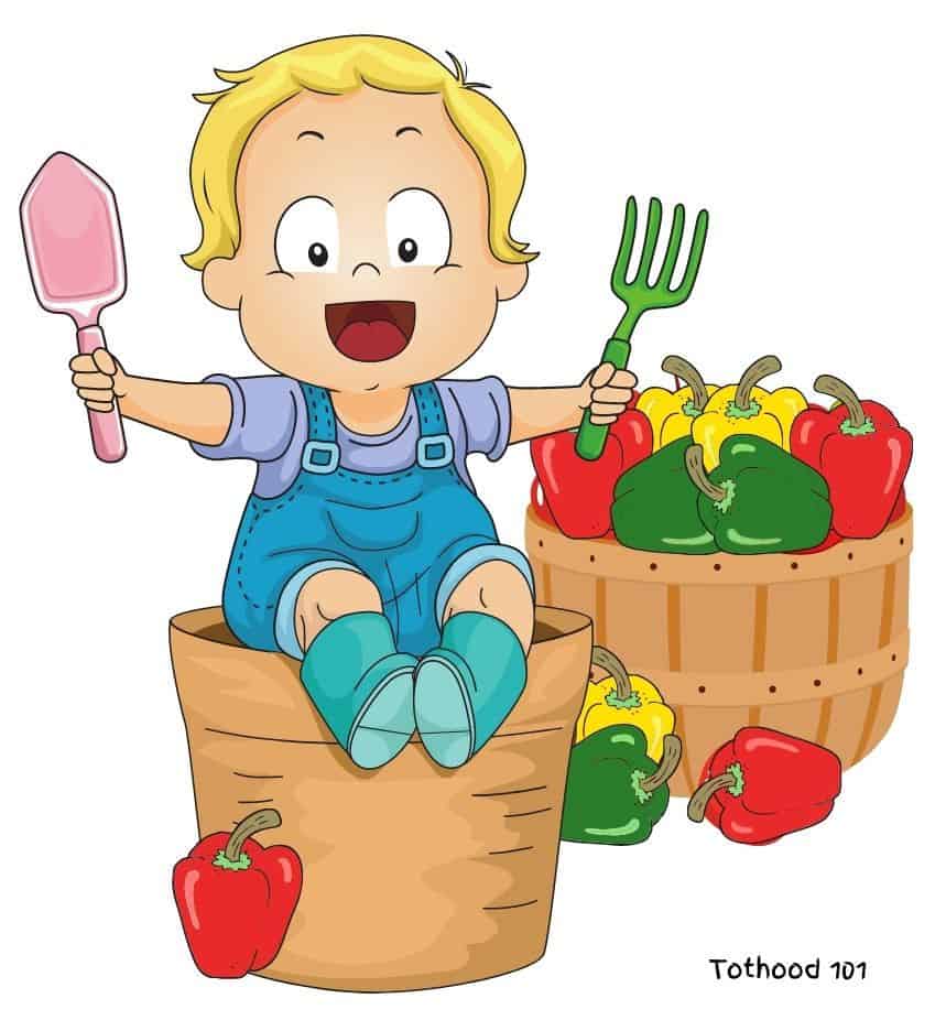 A cartoon of a boy on a garden pt with a basket of bell peppers behind him.