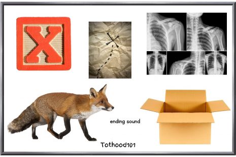 Pictures of things that begin or end with the letter X for preschoolers