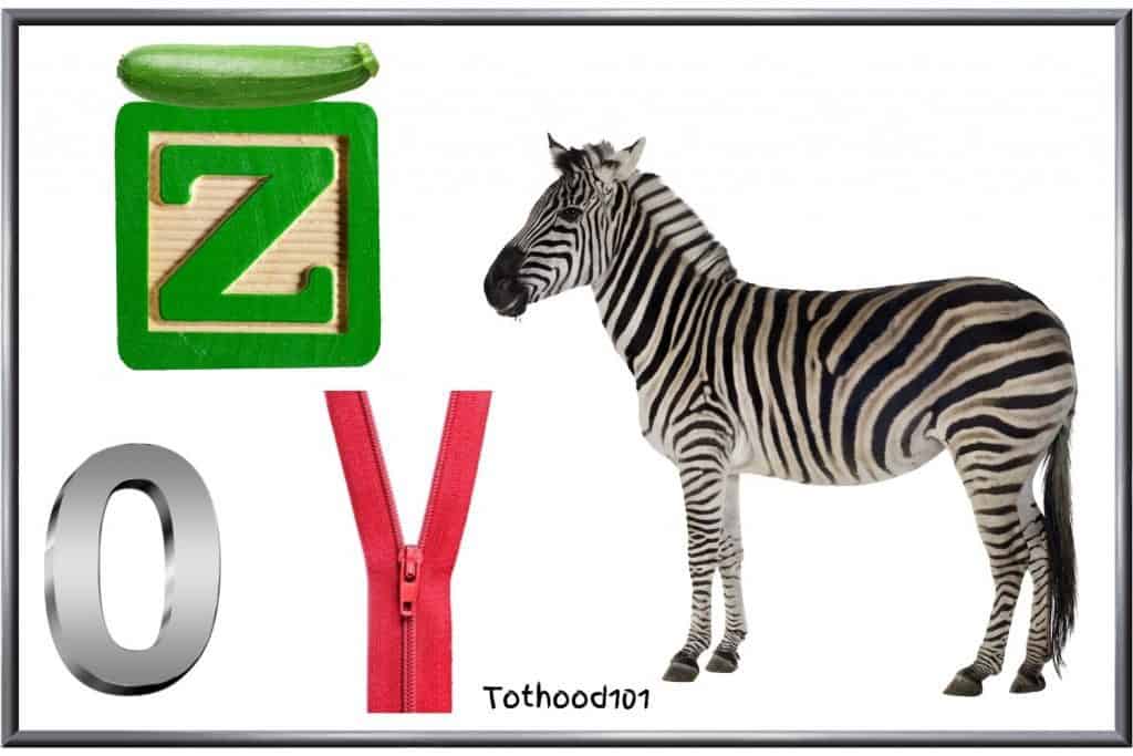 Things that start with the letter Z for preschoolers
