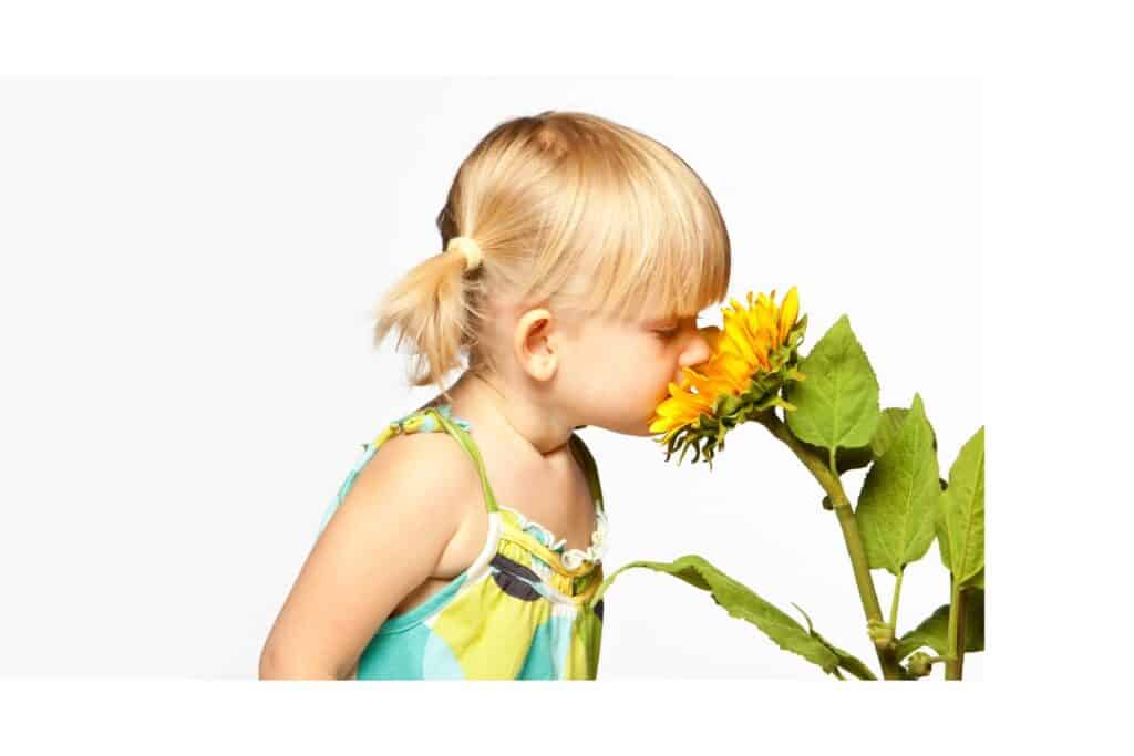 A girl smelling a sunflower