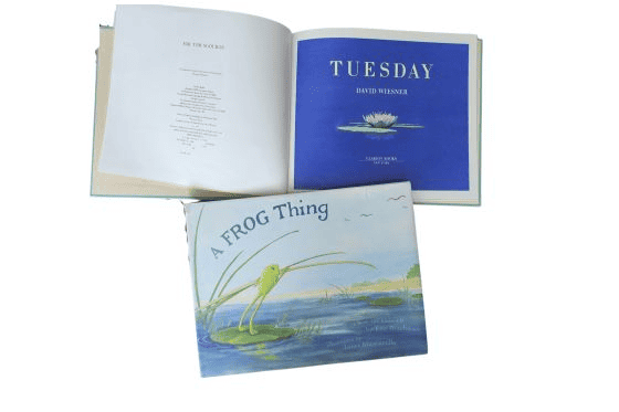 Tuesday and A Frog thing book