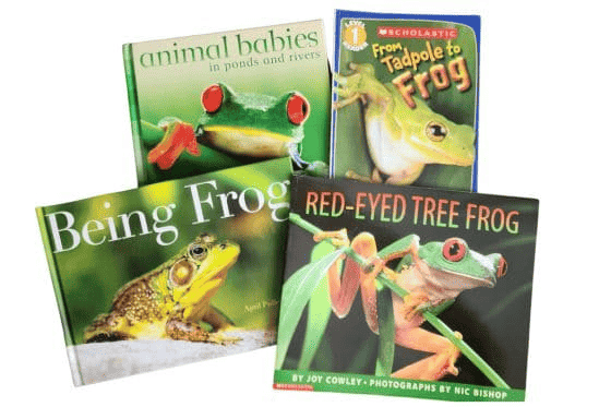 4 frog books