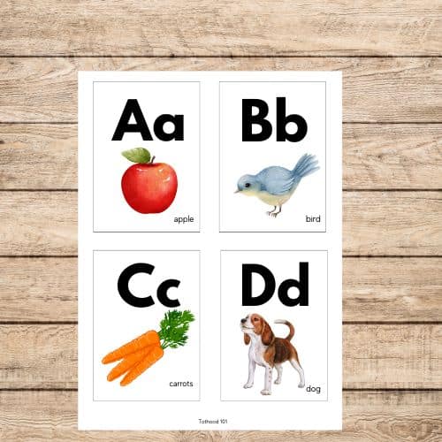 Alphabet Cards, A Apple, B bird, c carrots, d dog