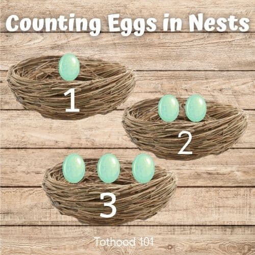 Counting Eggs in Nests
