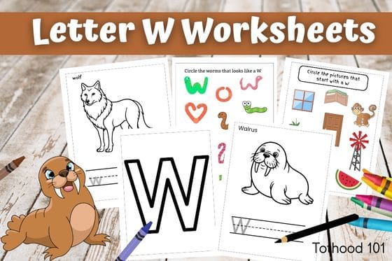 Letter W Worksheets for Preschoolers, walrus in bottom right corner, pencil and crayons around worksheets
