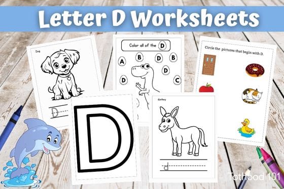Letter D worksheets for preschoolers. A dolphin in the left bottom corner